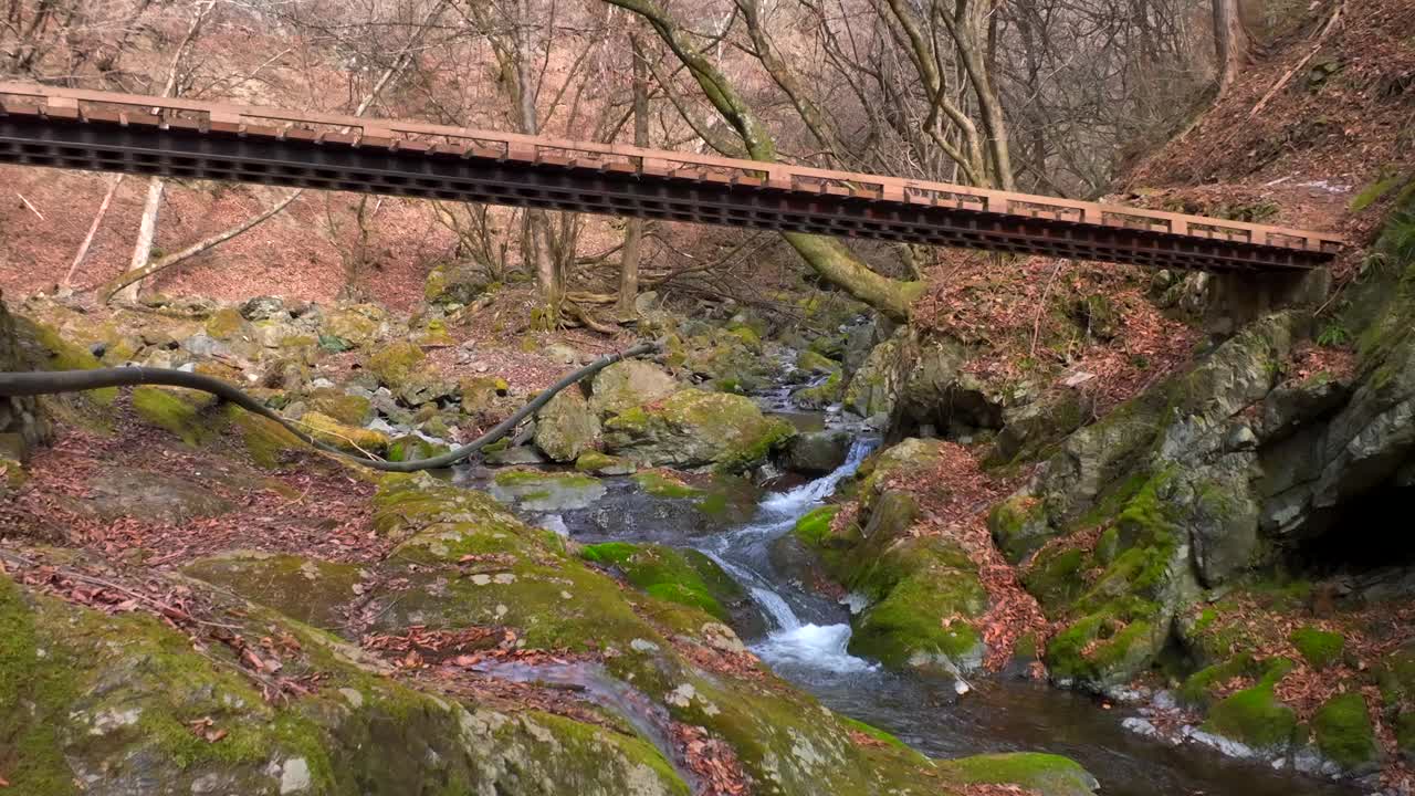 山谷的冬季美景视频素材