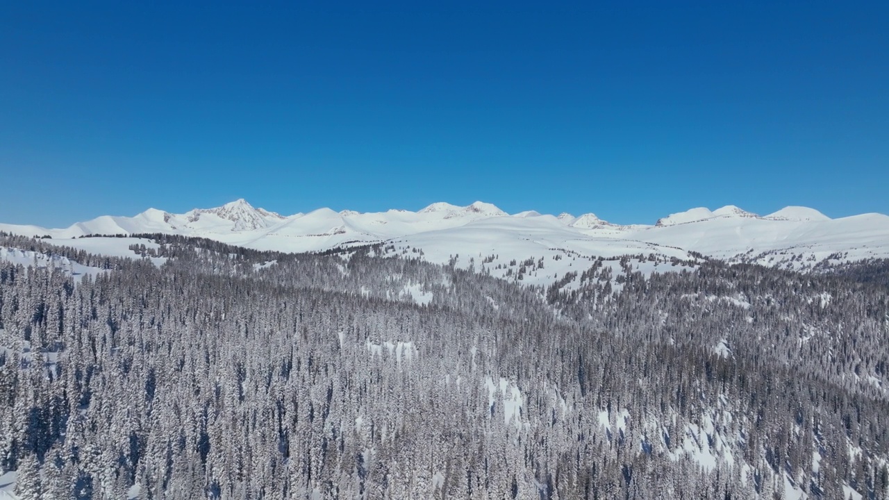 在晴朗的冬日，鸟瞰白雪覆盖的树木森林和美丽的山地景观视频下载