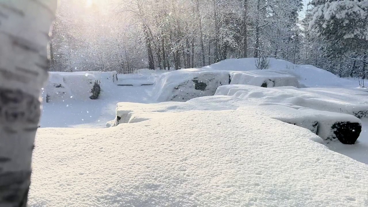 明亮的阳光明媚的景观，在森林大雪期间降雪视频下载