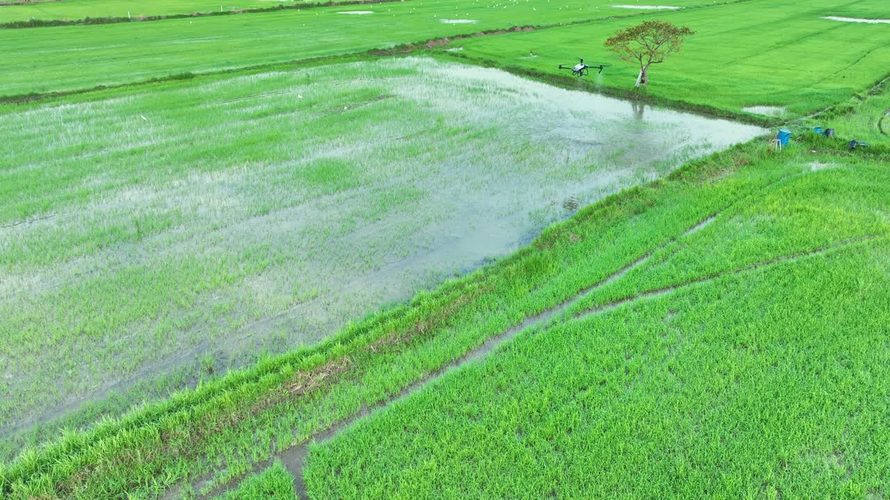 农业无人机在绿地上喷洒视频素材