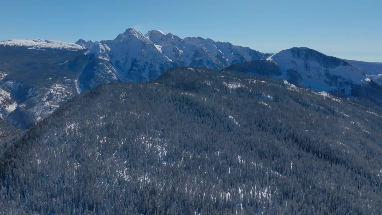 在晴朗的冬日，鸟瞰白雪覆盖的树木森林和美丽的山地景观视频素材