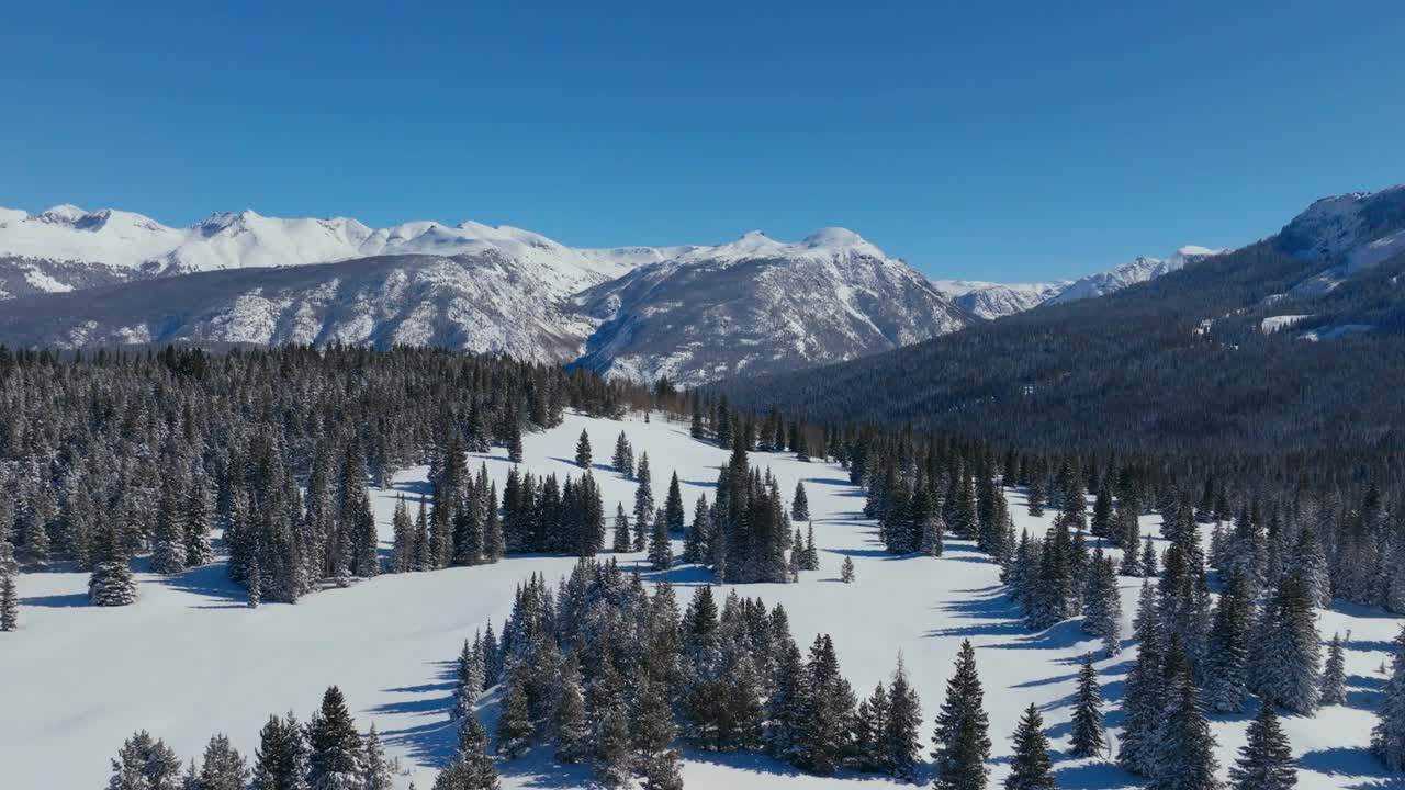 在晴朗的冬日，鸟瞰白雪覆盖的树木森林和美丽的山地景观视频素材