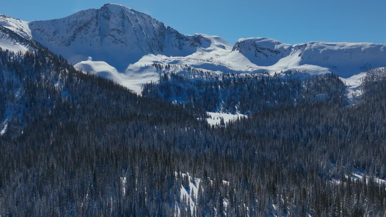 在晴朗的冬日，鸟瞰白雪覆盖的树木森林和美丽的山地景观视频素材