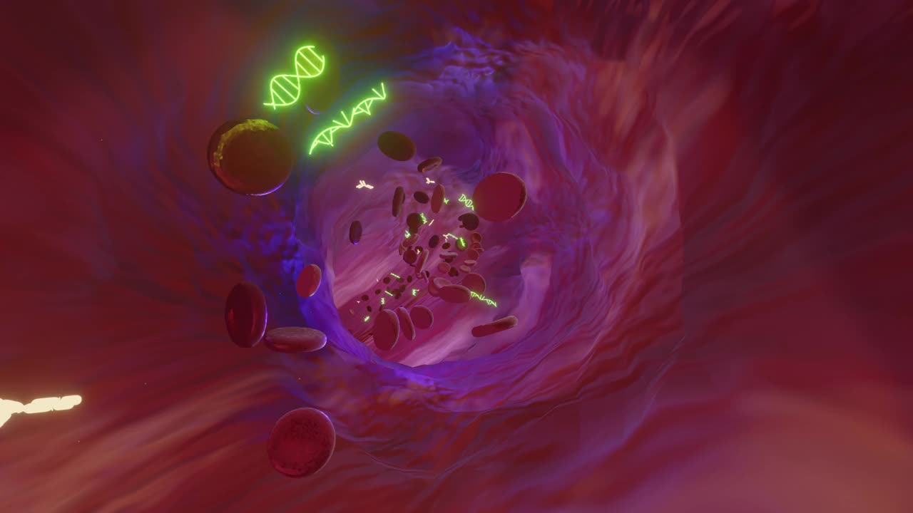 血管:血液中含有RNA/DNA的红细胞视频素材