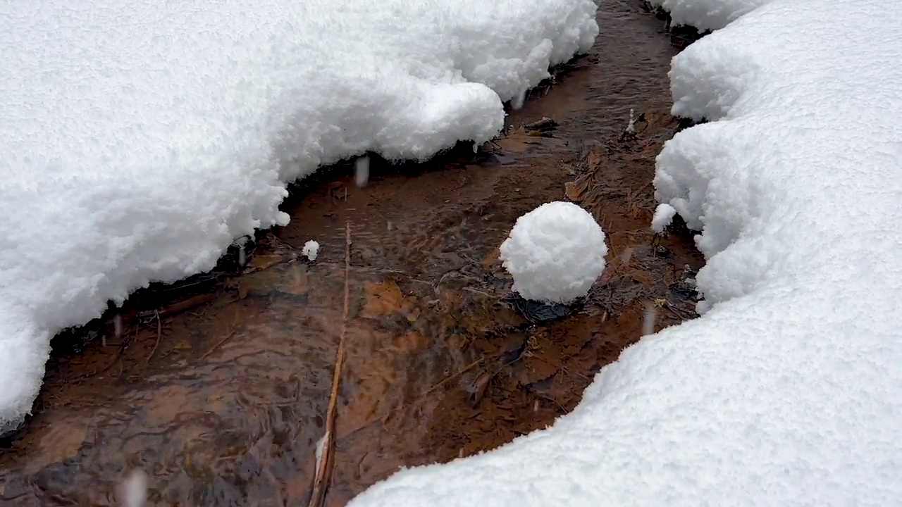 小溪在冬天的森林里，飘落着雪视频下载