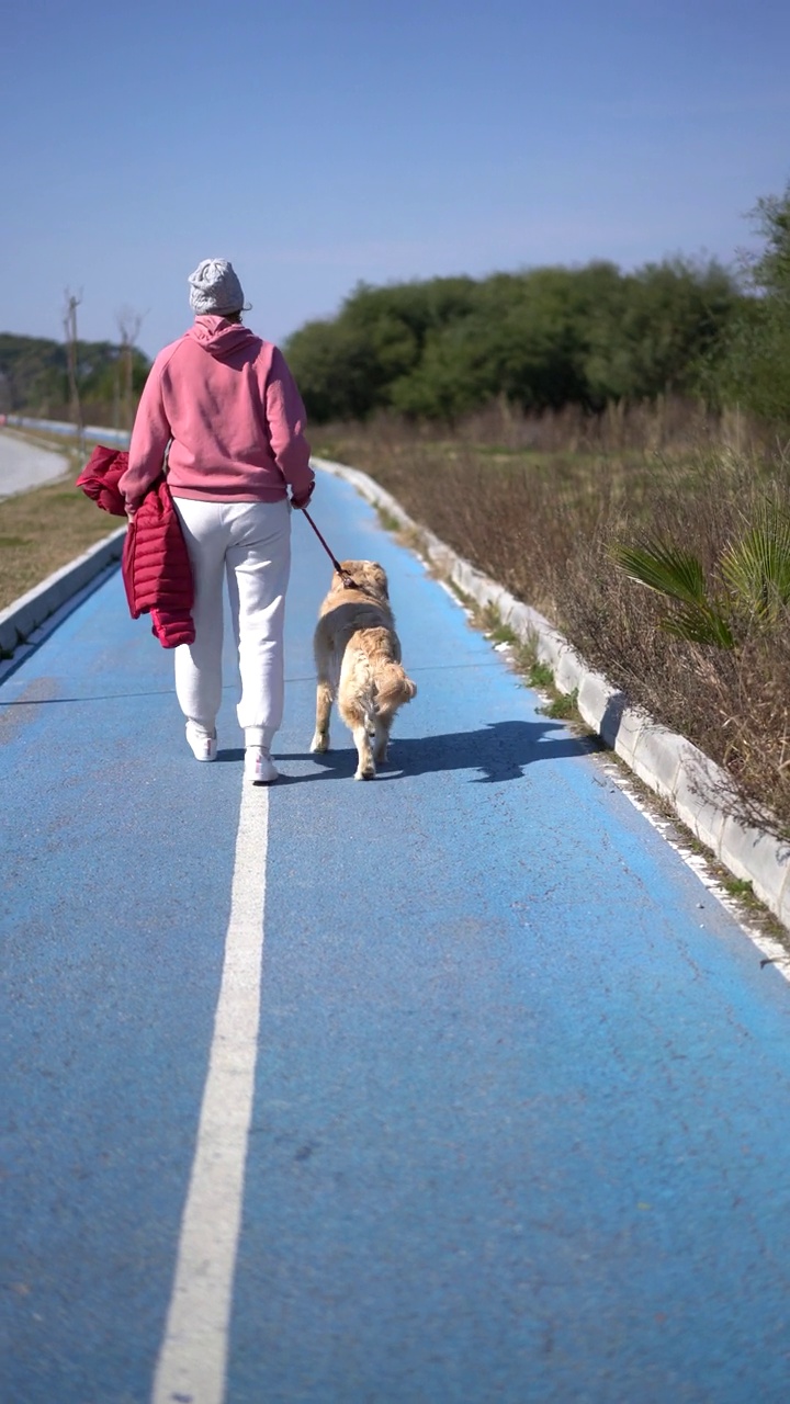 优雅成熟的女人与美丽的金毛猎犬在一个阳光明媚的冬日散步小径上放松地散步视频素材