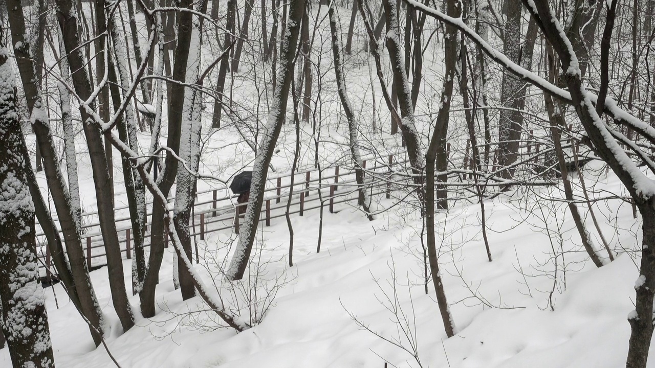 一个男人撑着伞走在一条白雪覆盖的木路上视频素材