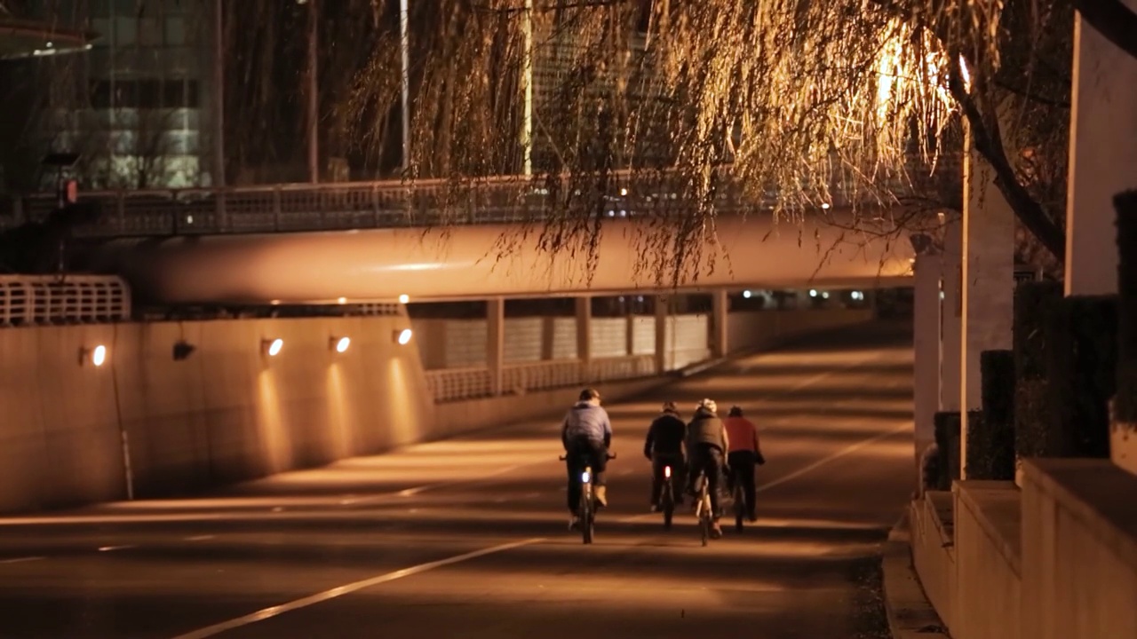 夜晚的城市河流视频素材