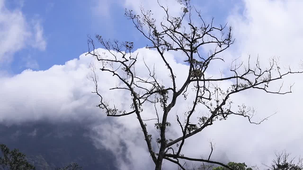 从亚齐山顶看移动的云，令人惊叹视频素材