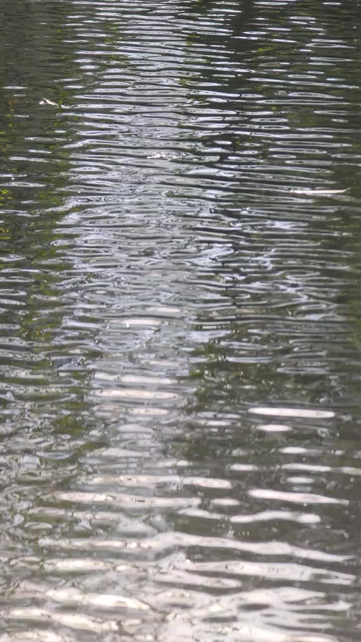 波光粼粼的河水闪烁表面波纹动态格局风吹闪波纹理视频4k镜头视频素材