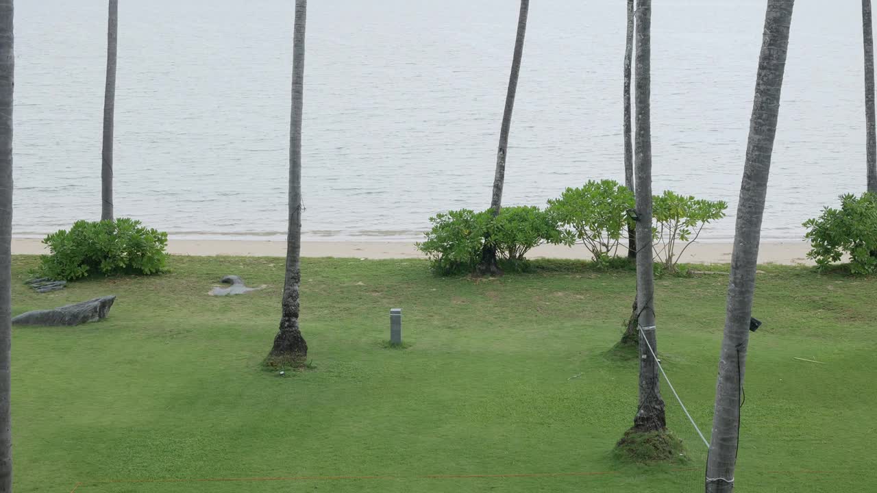 绿色草地草坪场附近的海岸海滩在椰子树下沟在夏季热带海滩度假度假在阳光下白天视频素材