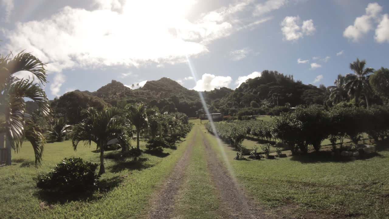 向前走，在阳光明媚的好天气里，可以看到一个维护良好的草坪，宽敞的农业农场田地，椰子果树的花园，在一条小路上，远处有山视频素材