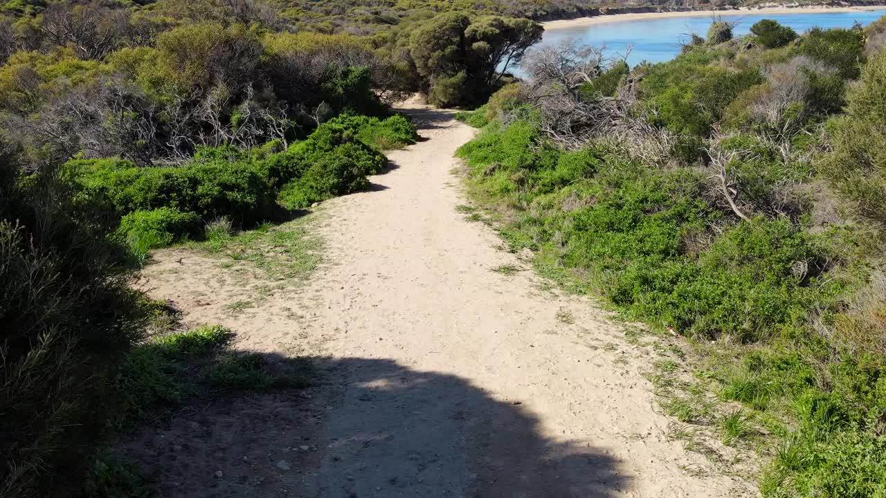 俯瞰庇隆角和浅水湾的岩石石灰岩和海草。视频素材