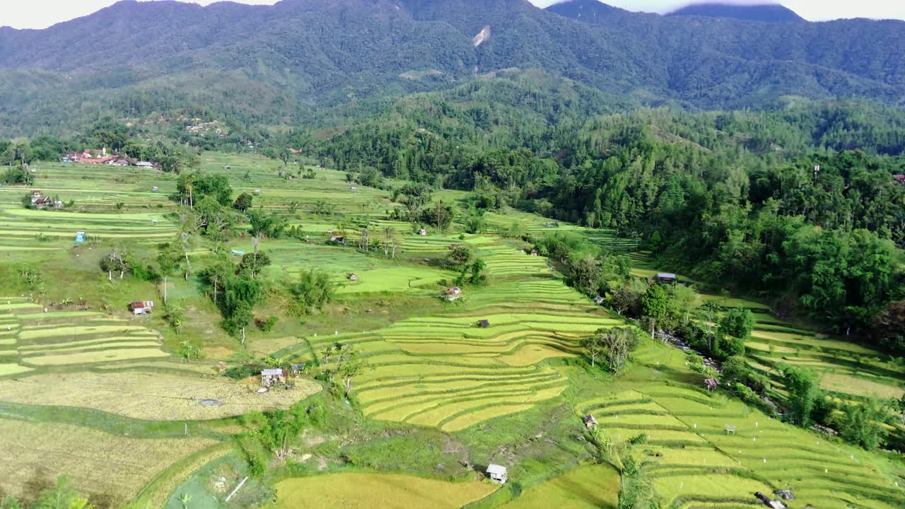 梯田的景色视频素材