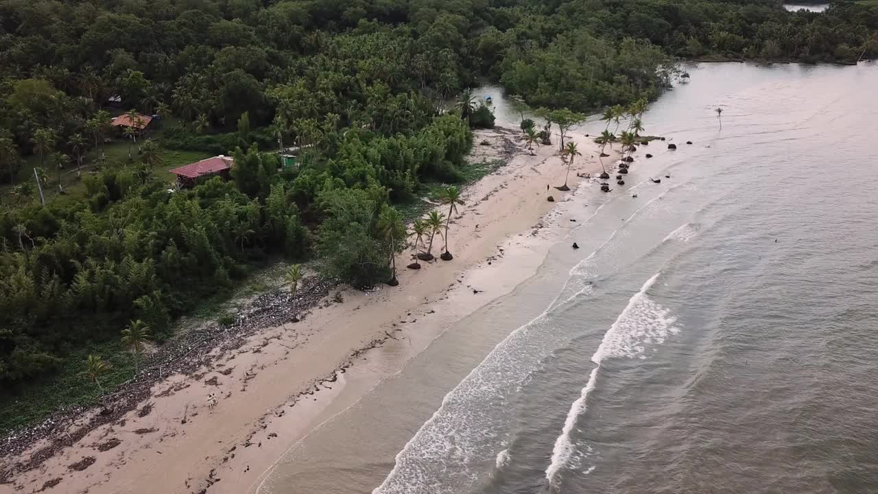 在巴西天堂般的风景中，河流流入海滩视频下载