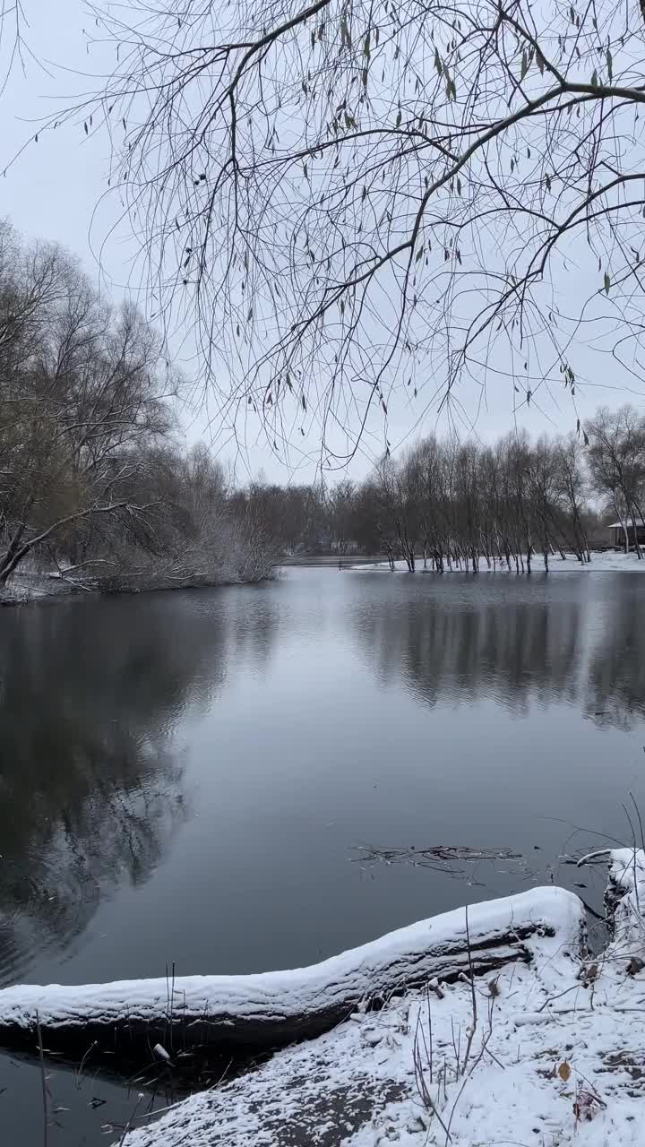 河流在冬天阴暗的森林里视频素材