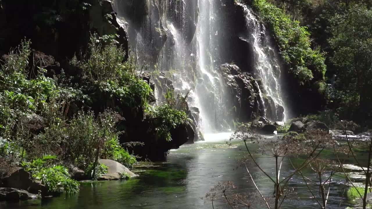 从山泉中流出清澈清水的瀑布视频素材