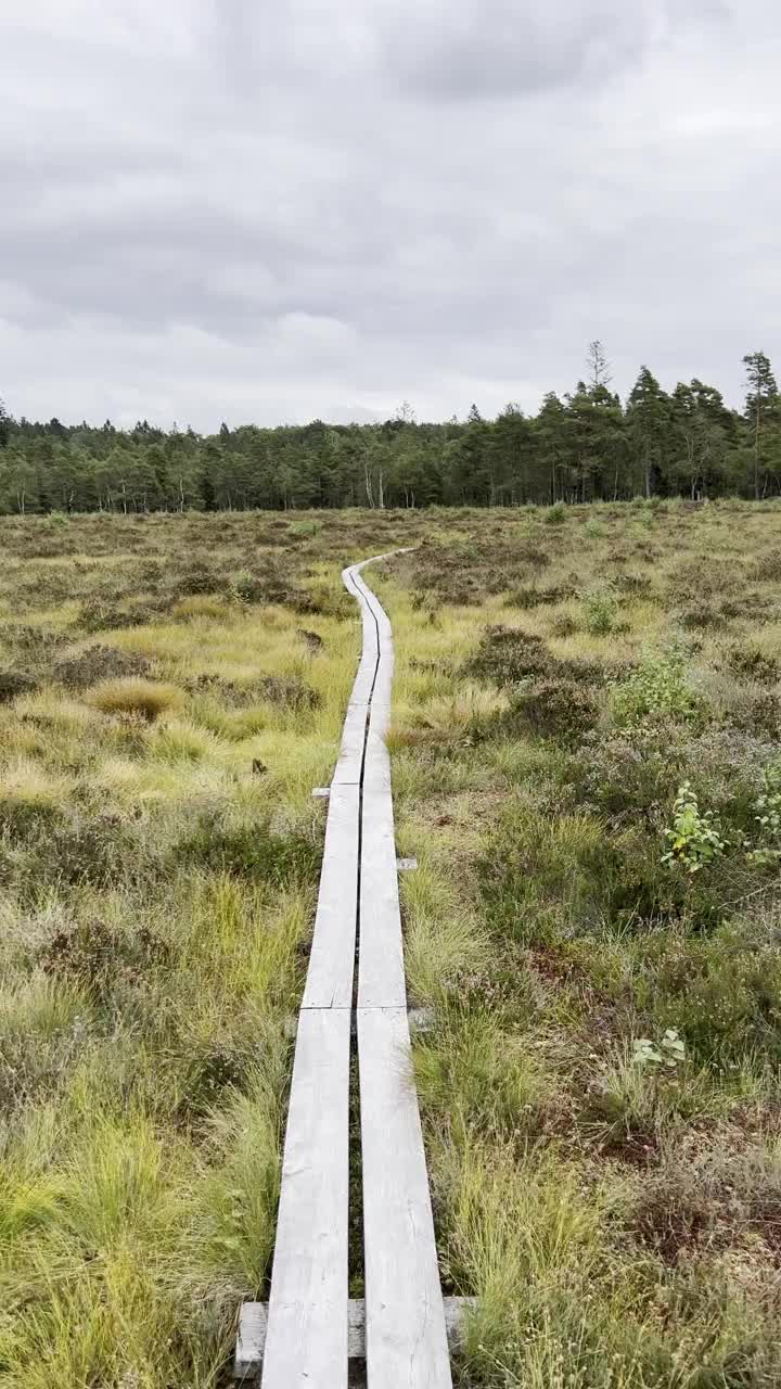 瑞典Djurholmen自然保护区的徒步小径。视频下载