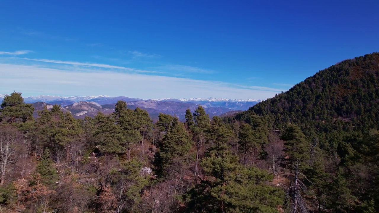 从天空看蔚蓝的阿尔卑斯山脉前区域自然公园视频素材