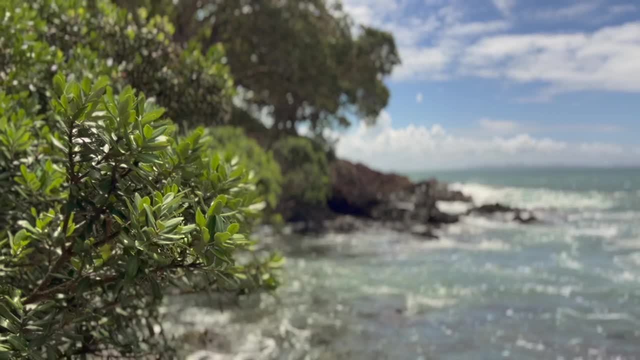 新西兰北部的荒野海滩视频素材