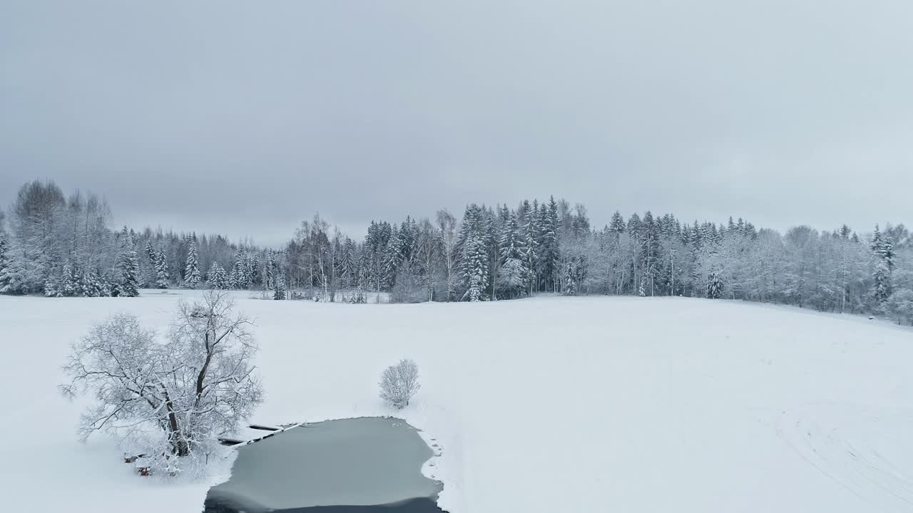 无人机在阴天飞越冰雪覆盖的森林景观视频素材