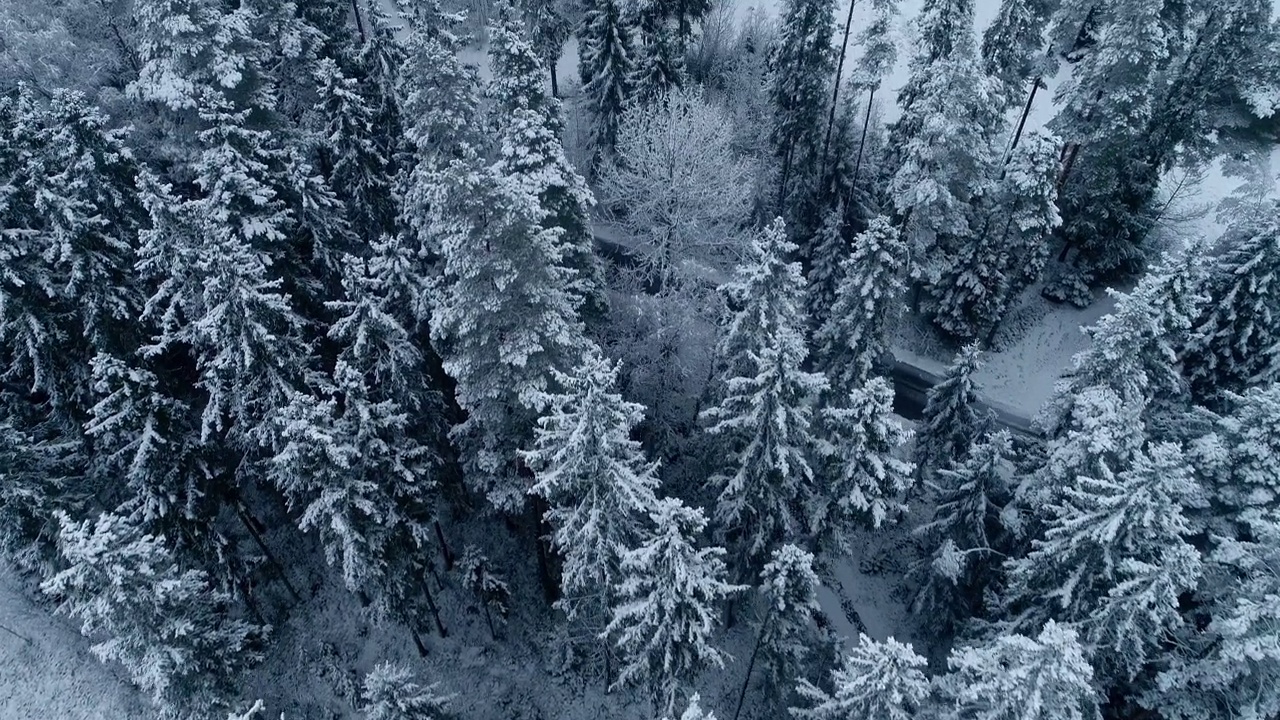 在一个阴天，无人机在被积雪覆盖的针叶树环绕的冰冻湖泊上空拍摄。视频素材