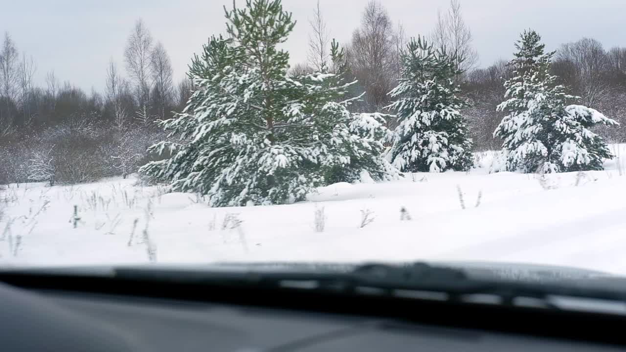 驾车穿过白雪覆盖的森林。《神奇汽车之旅》由白雪覆盖的松林创作。从汽车乘客窗口的前视图。冬季北欧乡村景观。旅行。寒冷的季节。白雪皑皑的木头。视频素材