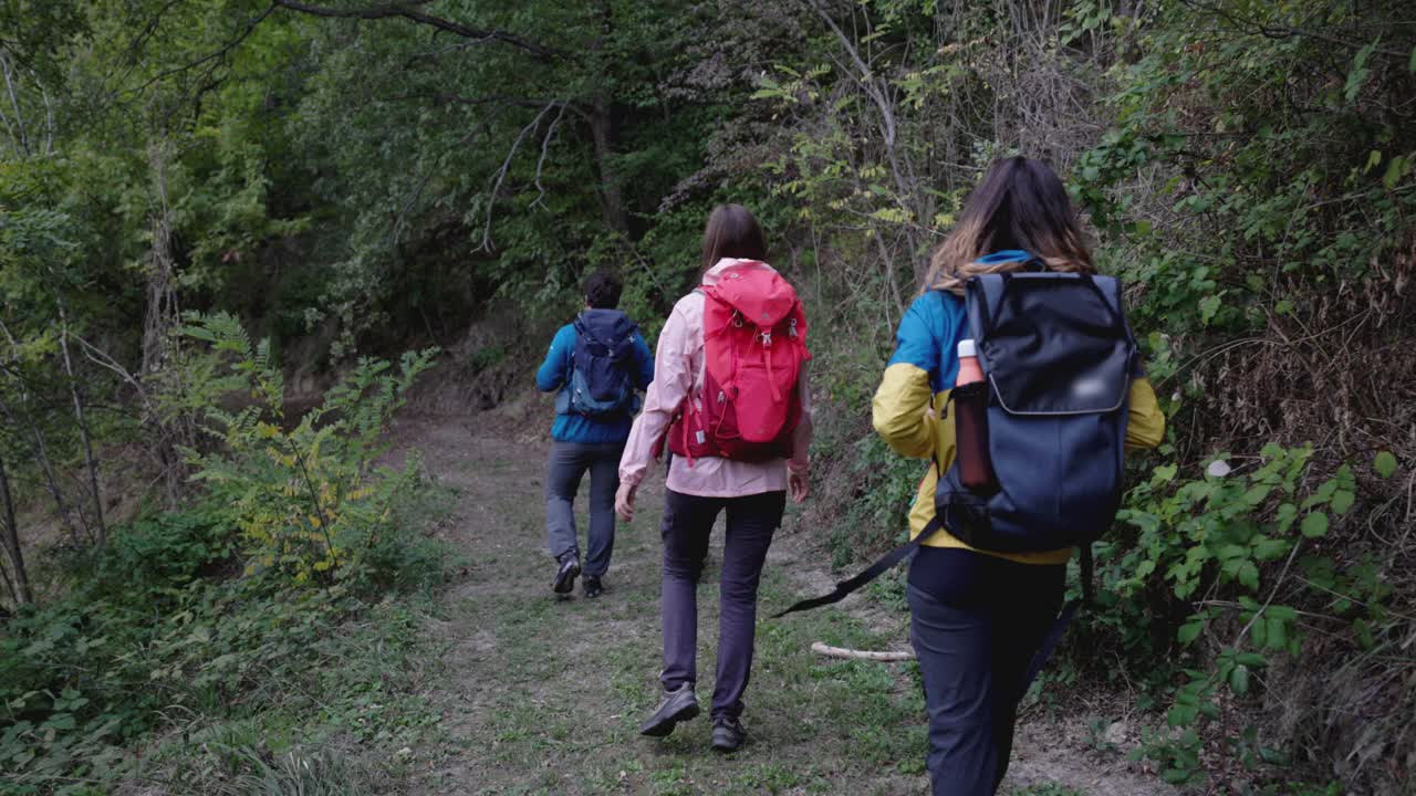 一群快乐的朋友一起登山视频素材