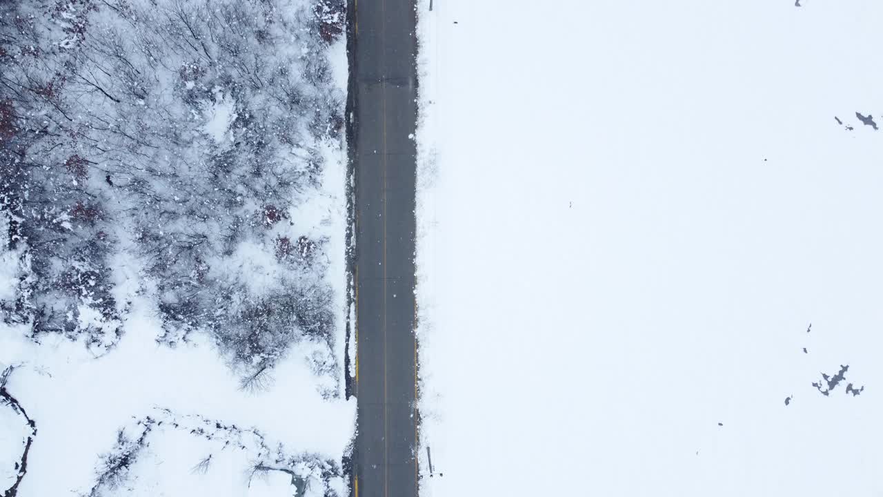 有树木和小径的雪地。山上的房子在冬天。鸟瞰图。视频素材