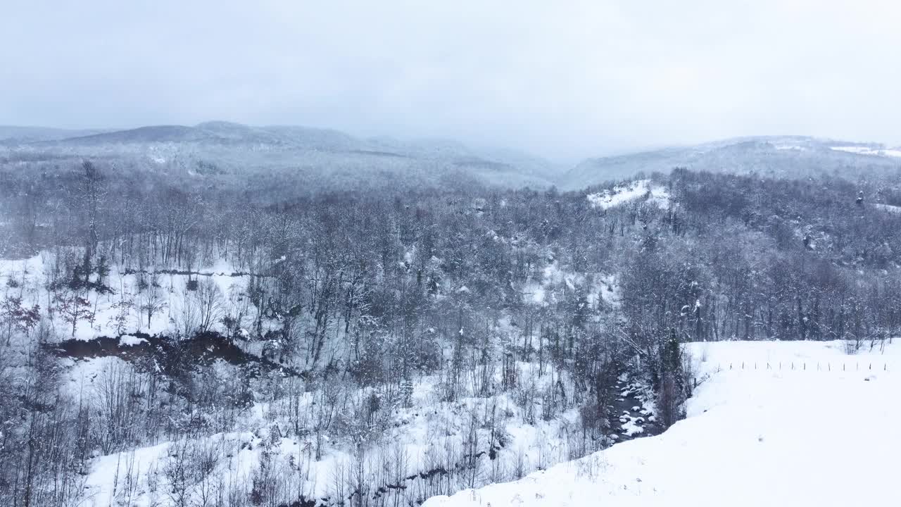 有树木和小径的雪地。山上的房子在冬天。鸟瞰图。视频素材