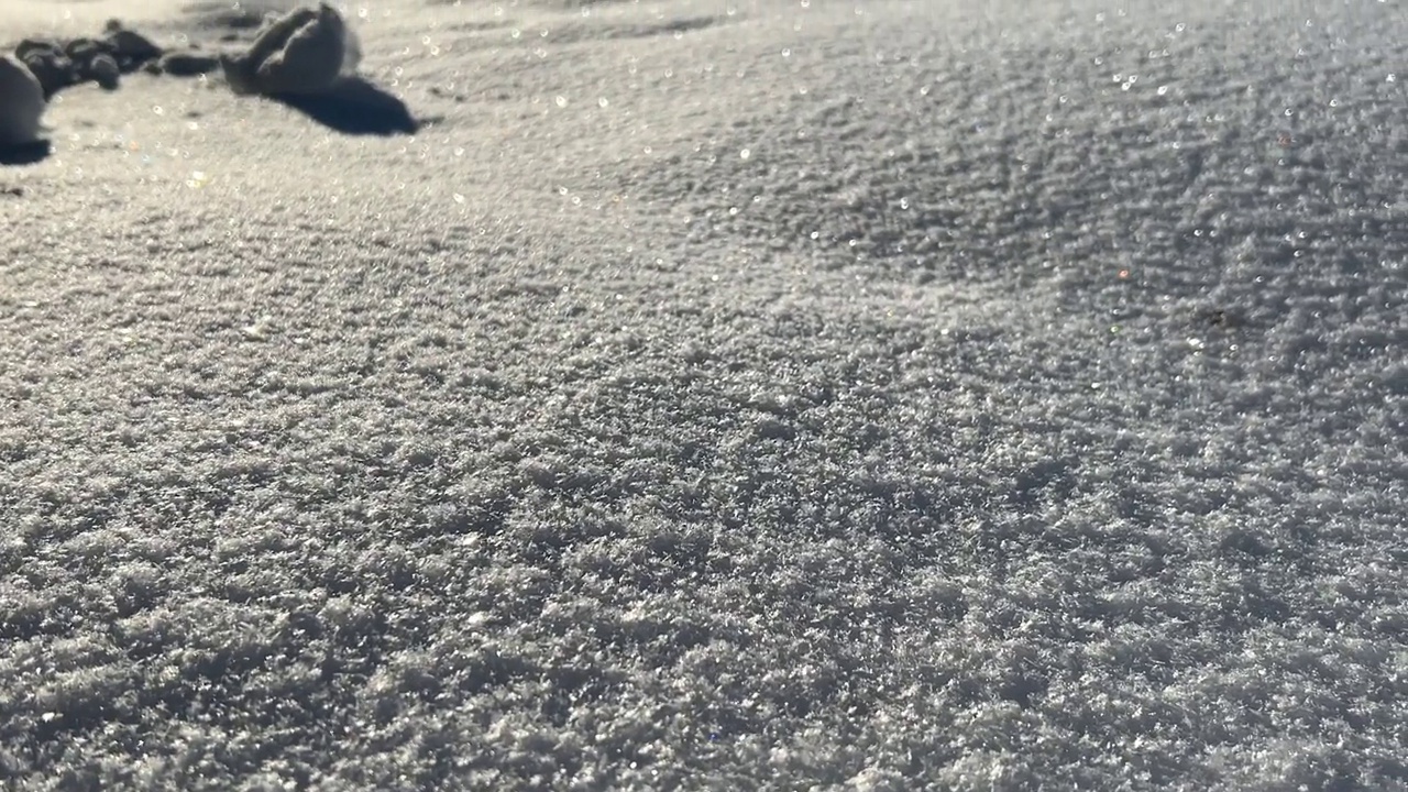 明亮阳光的冬季景观在森林，雪帆布视频下载