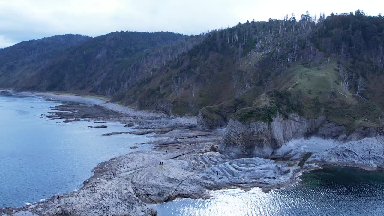 海岸线视频下载