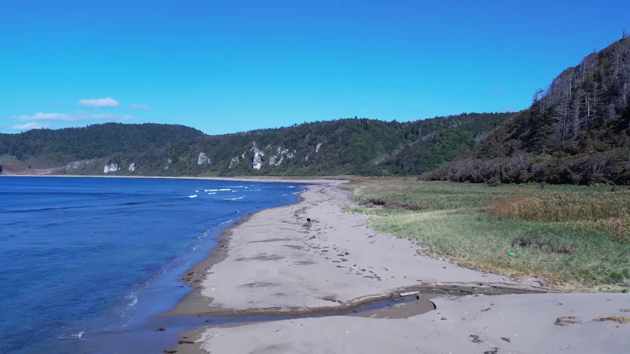 飞越海滩视频下载