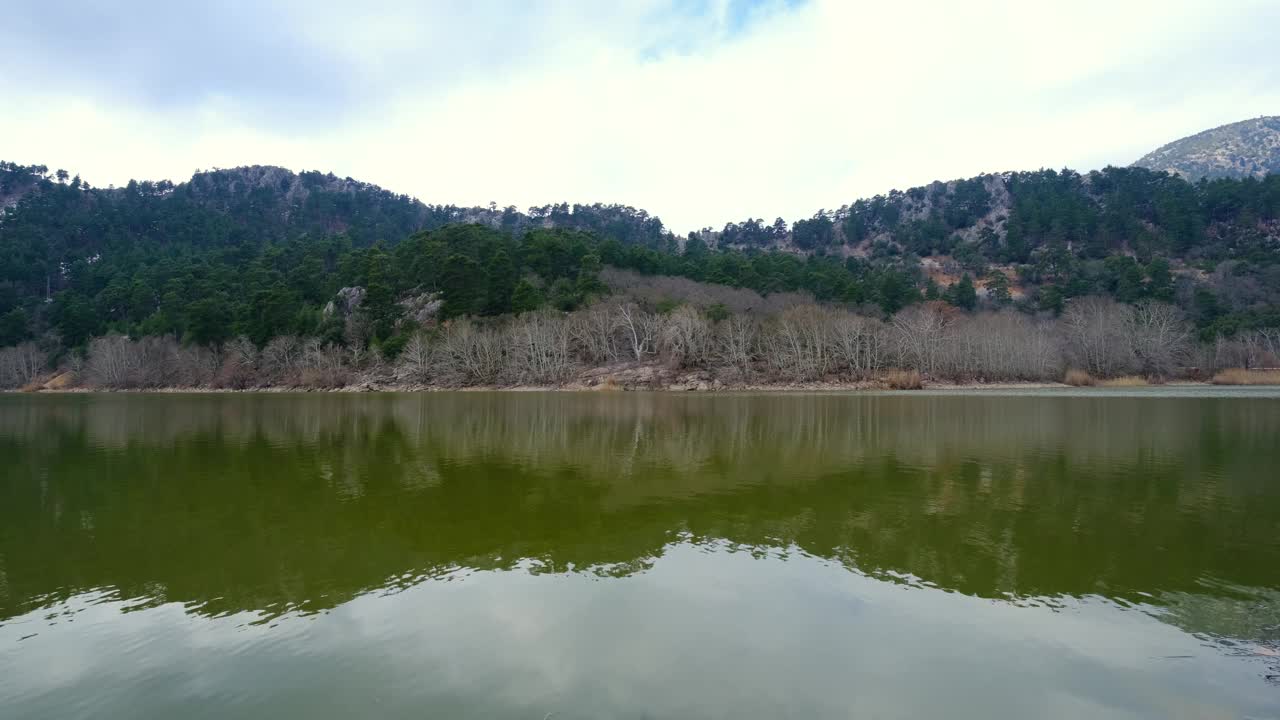 湖泊和森林视频素材