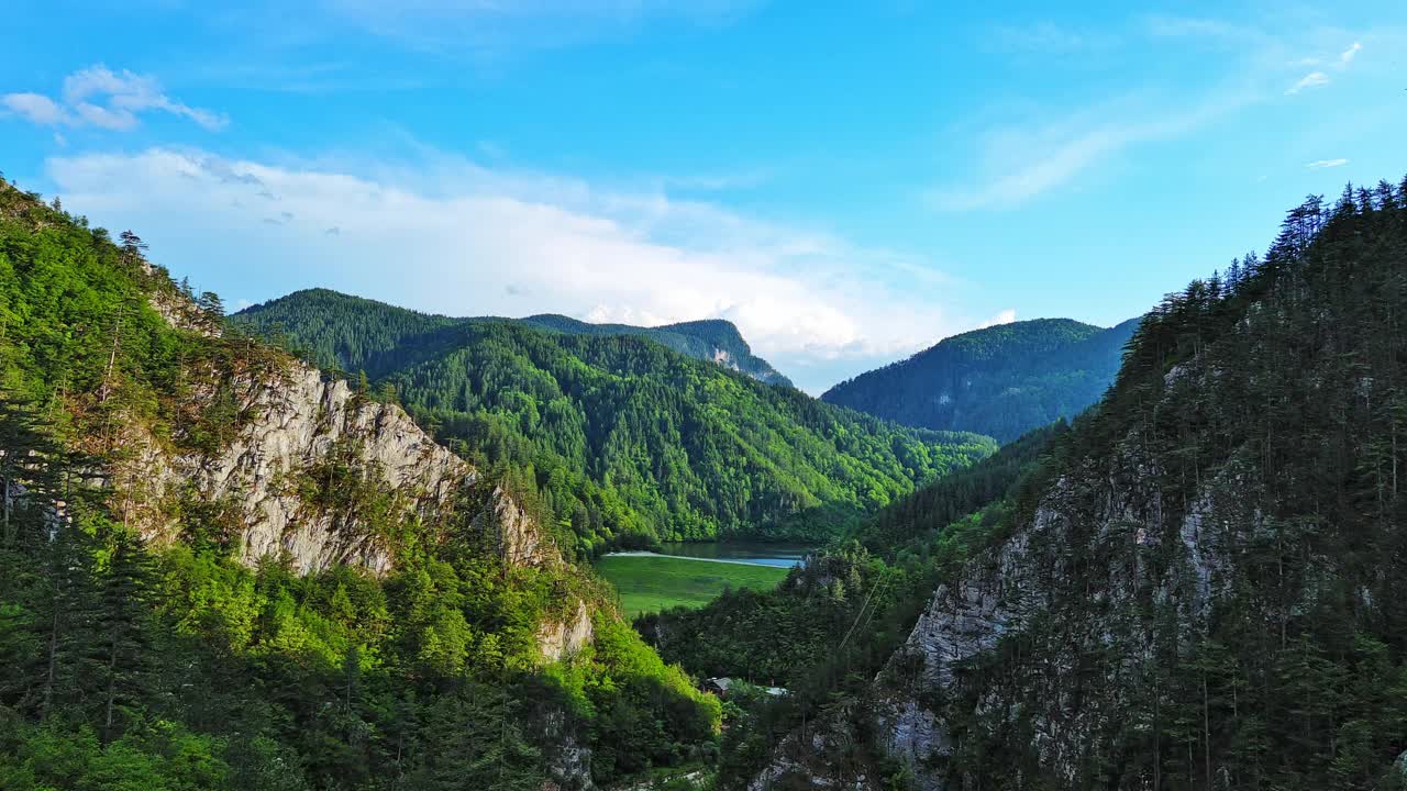 在罗多普山脉(Rhodope Mountains)，一条蜿蜒的道路穿过布满植物和树叶的山谷视频素材