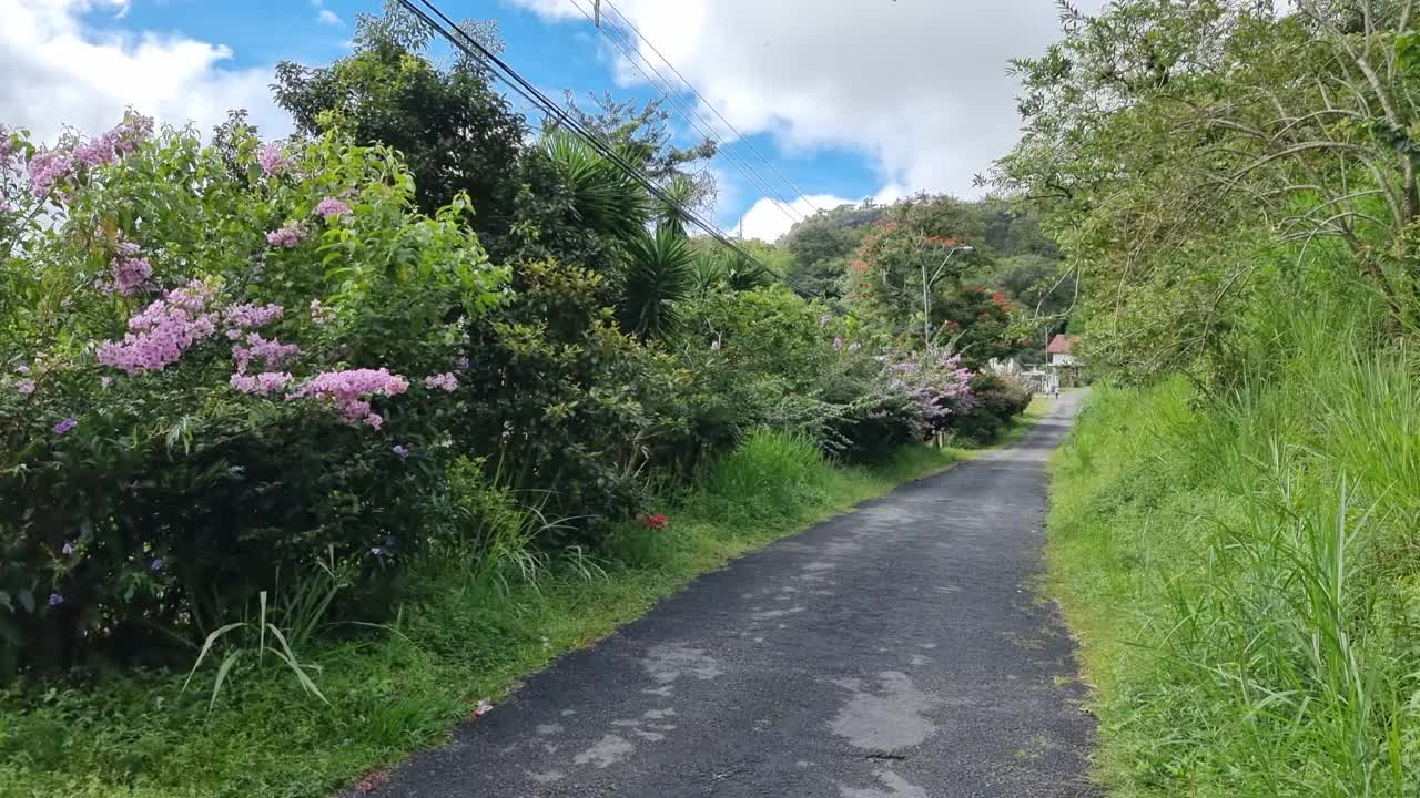 巴拿马，波奎特镇，热带植被之间的市政道路视频素材