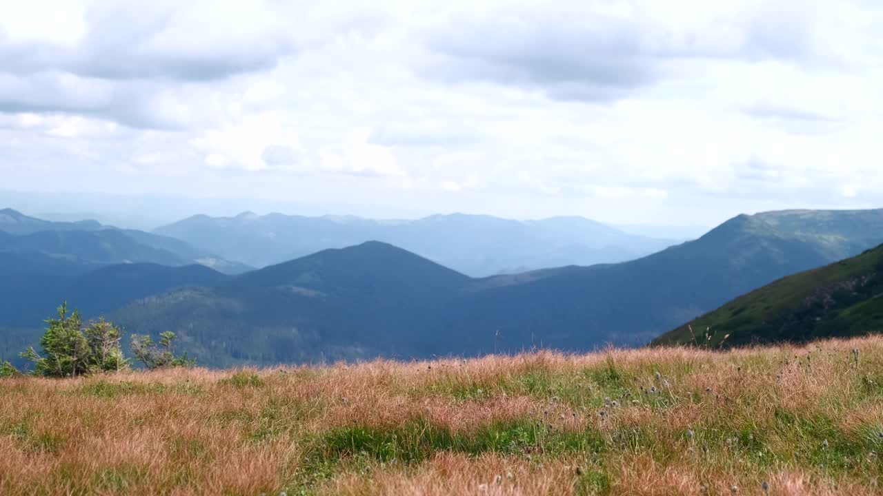 小可爱的女孩跑在山的背景视频素材