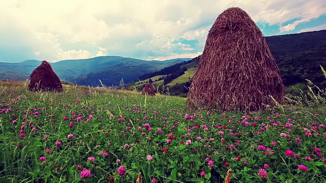 夏季山地景观慢动作视频下载