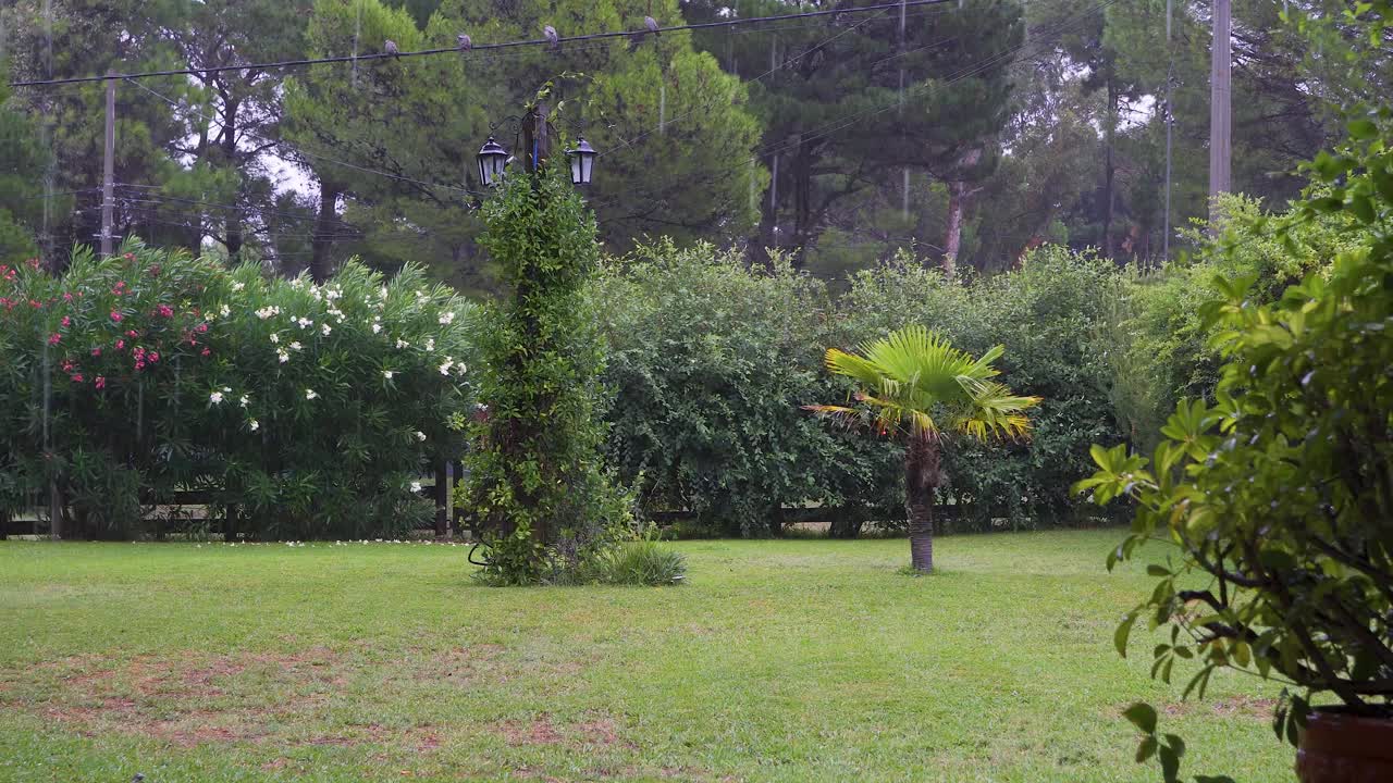 宁静的降雨使郁郁葱葱的花园焕然一新视频素材