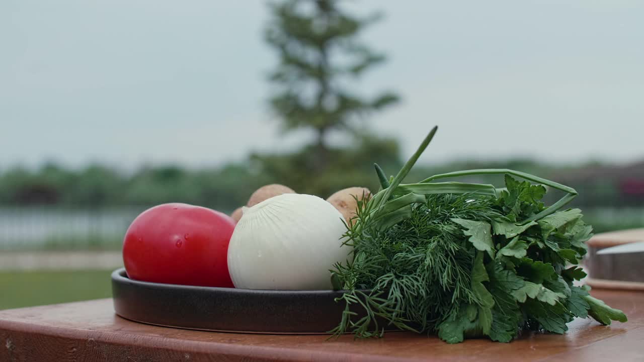 全蔬菜和香草放在盘子里视频素材