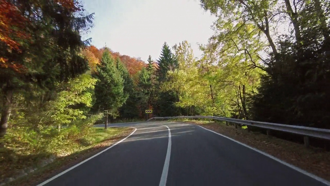 蜿蜒的道路穿过秋天的森林视频素材