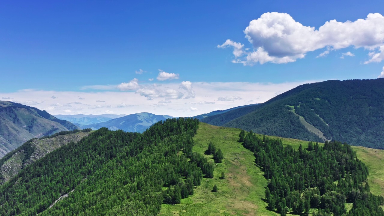 鸟瞰中国新疆的绿色森林和山地自然风光。视频素材