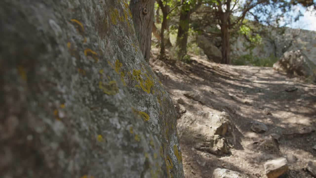 游客们沿着崎岖的石径上山视频素材