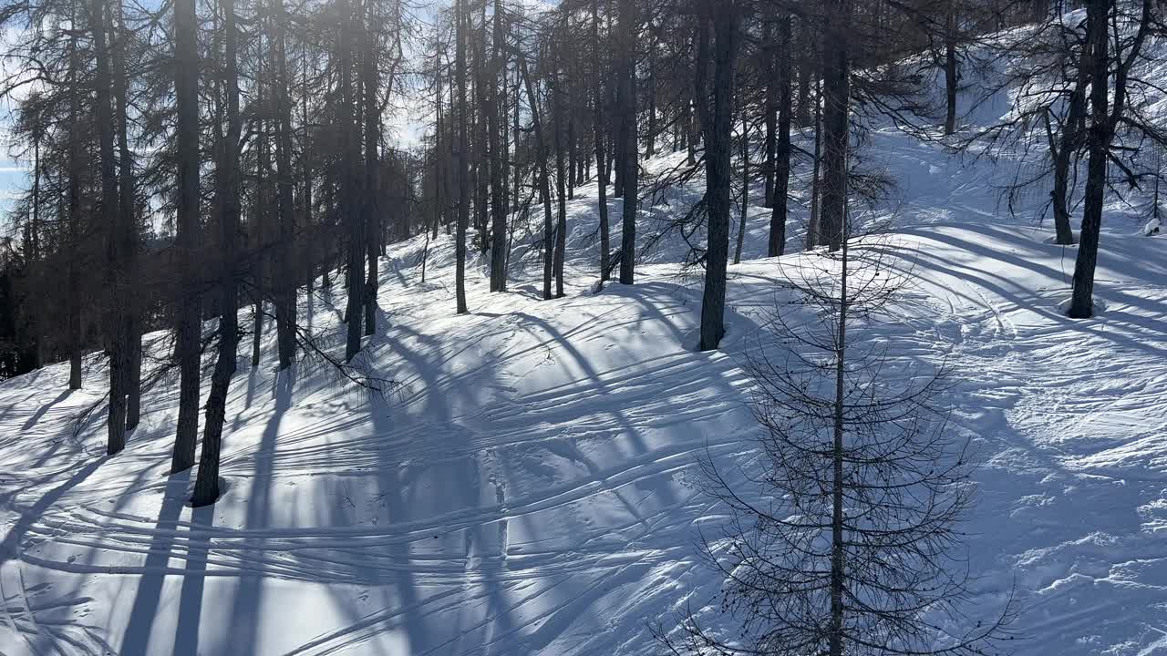 高山滑雪场的冬季森林视频素材