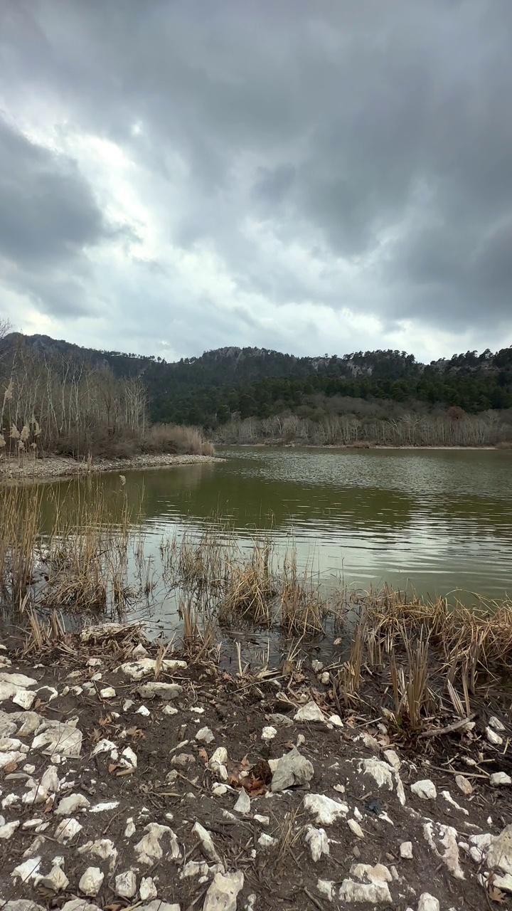 放松的湖景和美丽的森林视频素材