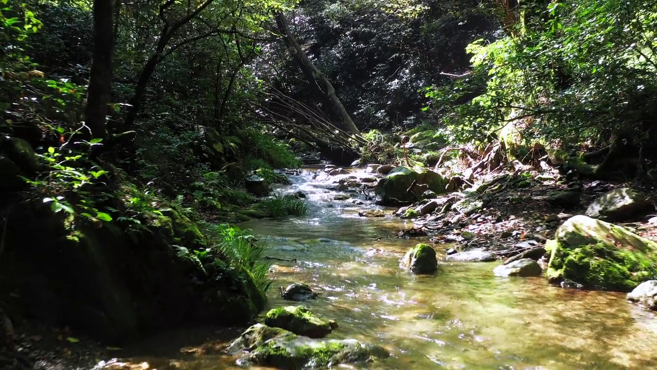 在晴朗的天气里，美丽的山涧视频素材