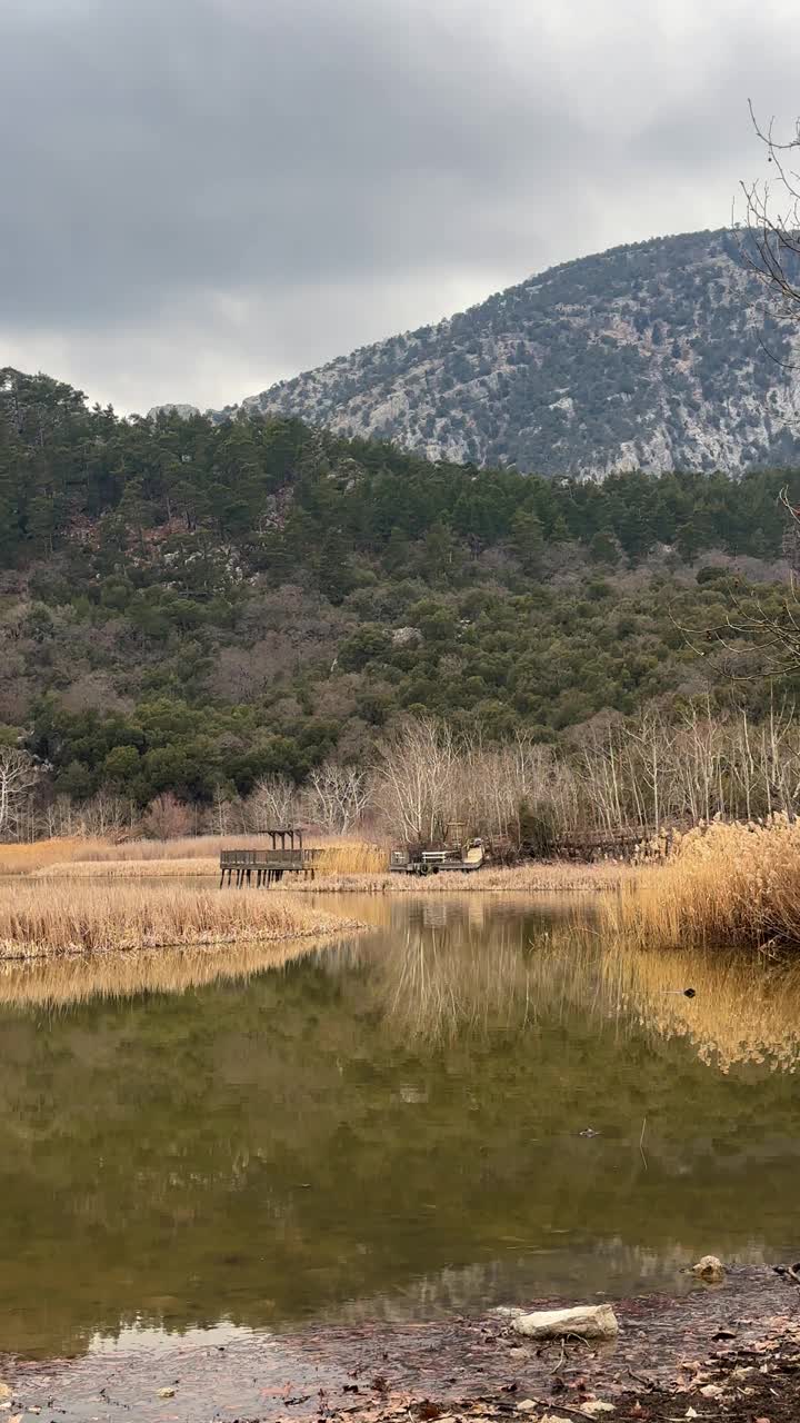 放松的湖景和美丽的森林视频素材