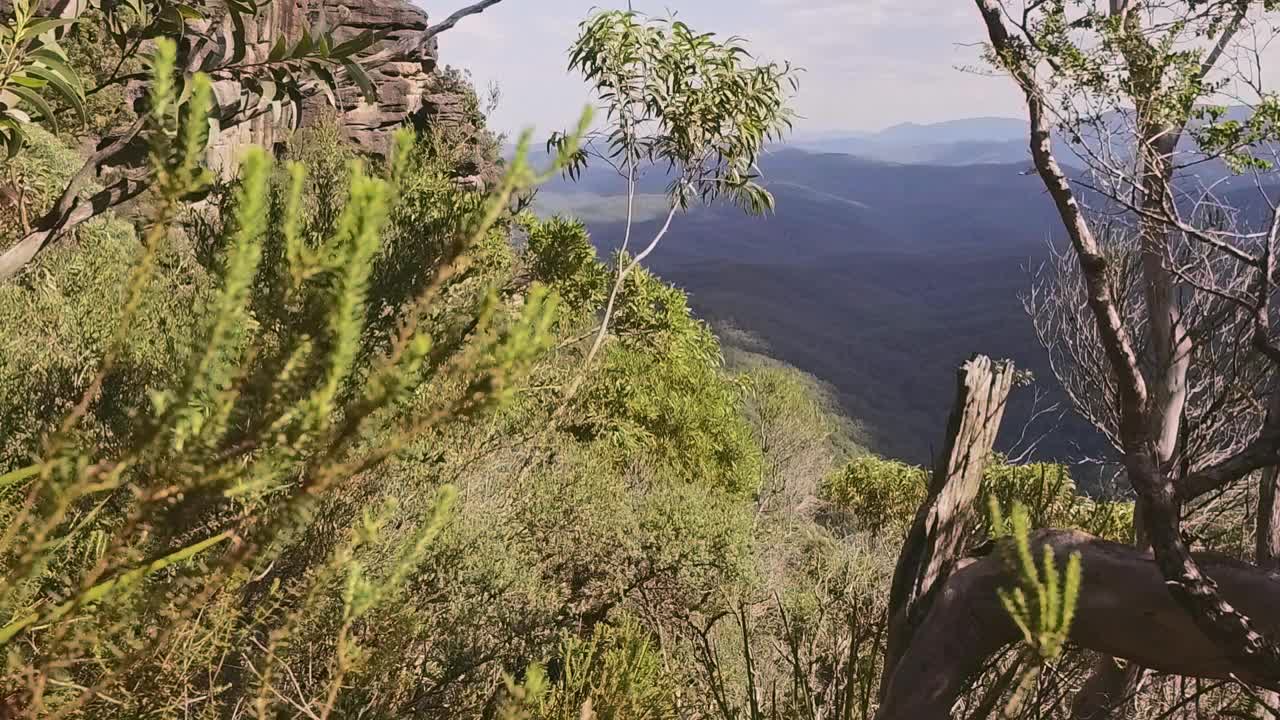 在一个阳光明媚的日子里，一个年轻人背着摄影器材在山上背包视频素材