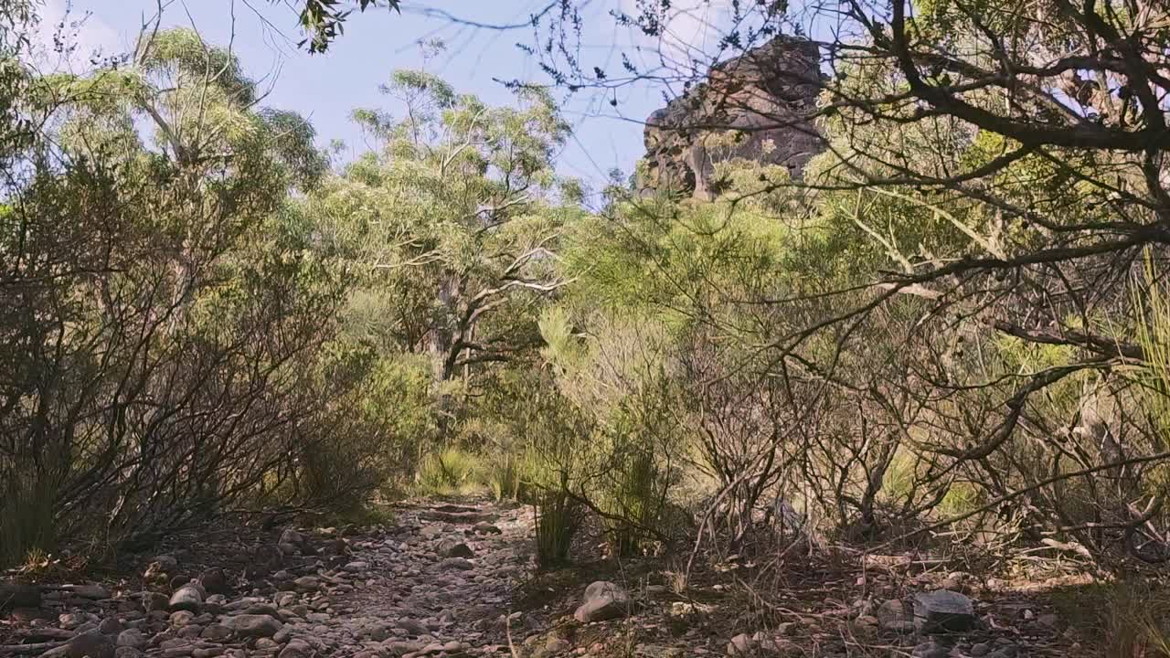 在一个阳光明媚的日子里，一个年轻人背着摄影器材在山上背包视频素材