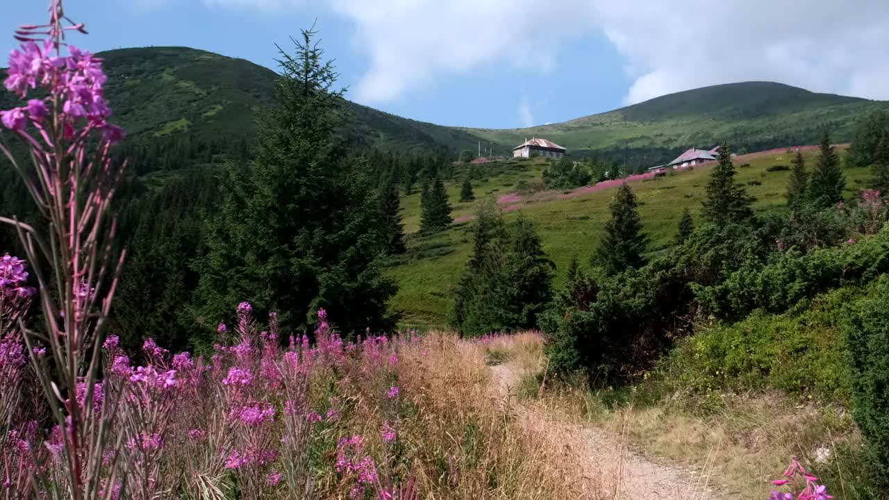 父亲和女儿在山路上视频素材